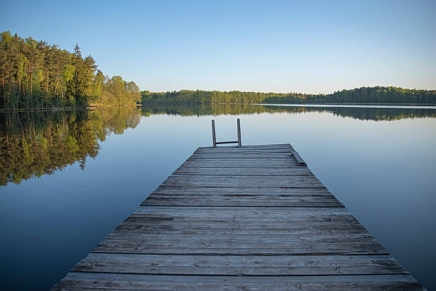 istock forest and pier by the lake 2218604872