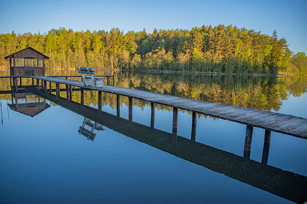 istock forest and pier by the lake 2218604889