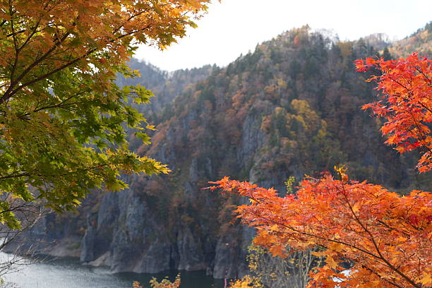 istock Autumn leaves in Sapporo 2218610255