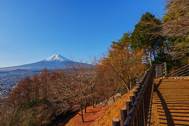 istock Chureito Pagoda Path and Mount Fuji 2218611030
