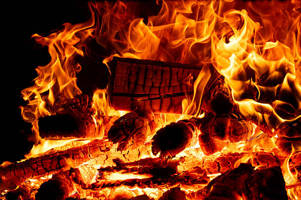 Roaring Campfire with Burning Logs and Dancing Flames Illuminates the Night, Creating Warmth, Light, and a Mesmerizing Atmosphere.