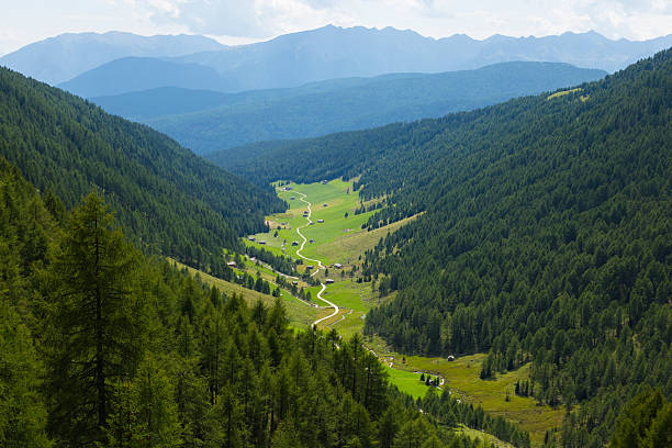 istock Dolomites Mountain Valley in Italy with forest path and blue mountains 2218615880
