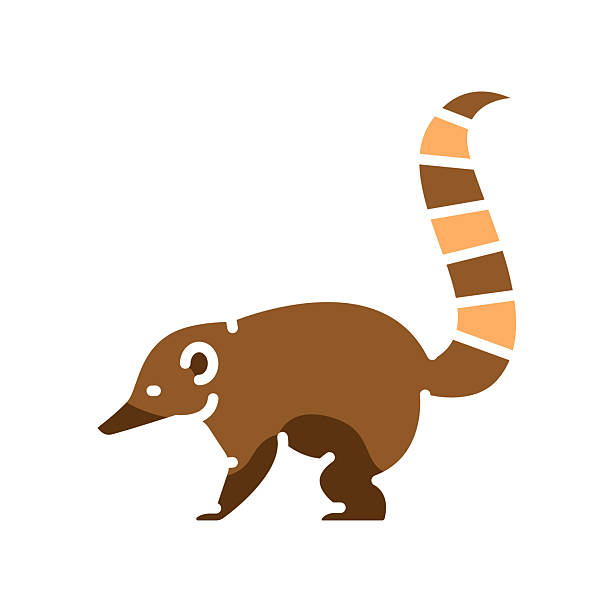 istock coati color flat icon for digital and print projects. South american animals. 2218616435