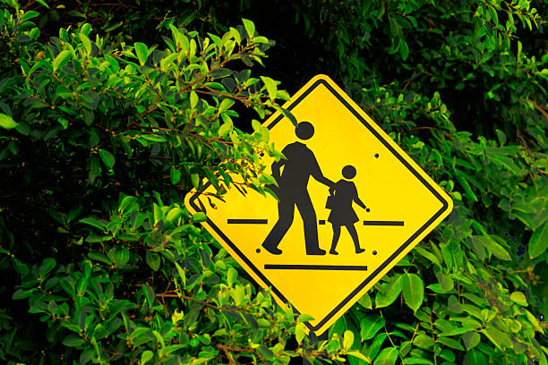Caution pedestrians sign in twigs of tree in Bangkok ladprao