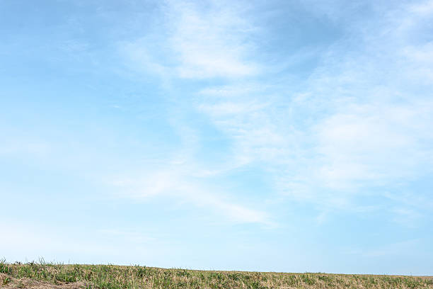 istock Clear blue sky and grassland 2218616830