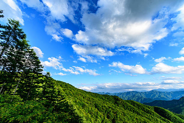The view from the Mikaho Super Forest Road Observatory - Gunma Prefecture