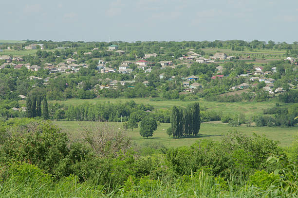 A city in the distance. Grass. Outdoor. Tree. Field. Green