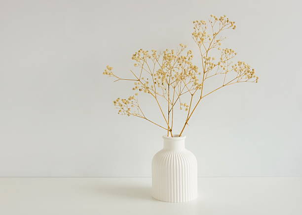 istock Modern white ceramic vase with dry  flowers on white backgroud .Copy space, 2218629081