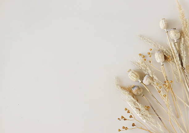 istock Dry flowers frame top view on beige background template with copy space. 2218629082