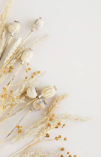 istock Dry flowers frame top view on beige background template with copy space. 2218629085