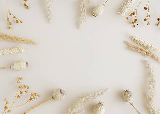 istock Dry flowers border frame top view on beige background template with copy space. 2218629086