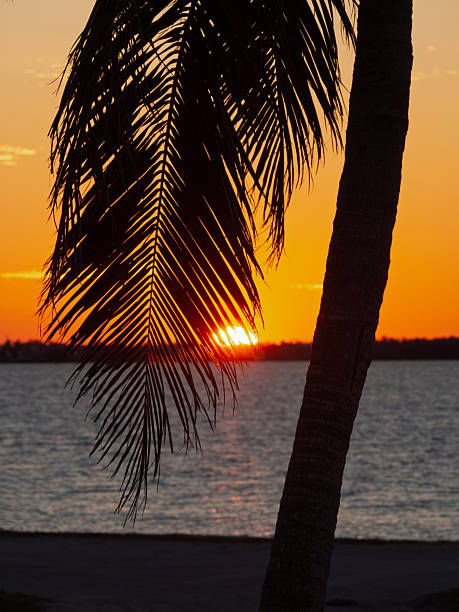 Beautiful sunset on the water in Key Largo, Florida.