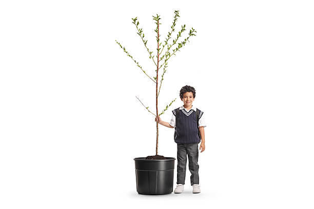istock Schoolboy holding a tree in a pot 2218634283