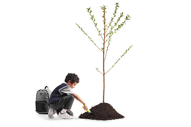 istock Schoolboy digging earth and planting a tree 2218634354