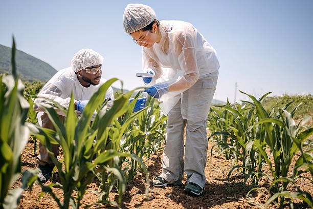 istock Two scientists working together outdoor on field taking samples and using magnifying glass 2218636102