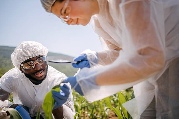 istock Two scientists working together outdoor on field taking samples and using magnifying glass 2218636111