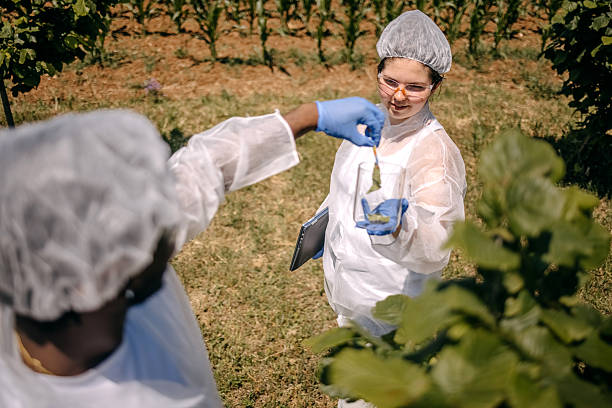Young adults working together taking crop samples on agricultural field and putting them in jar