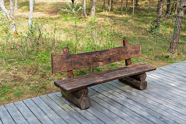 Simple rustic wooden bench stands alone on a wooden deck in a sunny forest clearing, inviting rest and connection with tranquil nature.