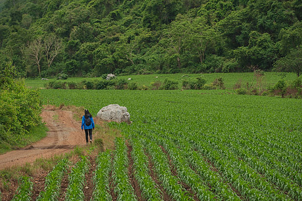 Asian woman hiking in natural  with mountain on background.