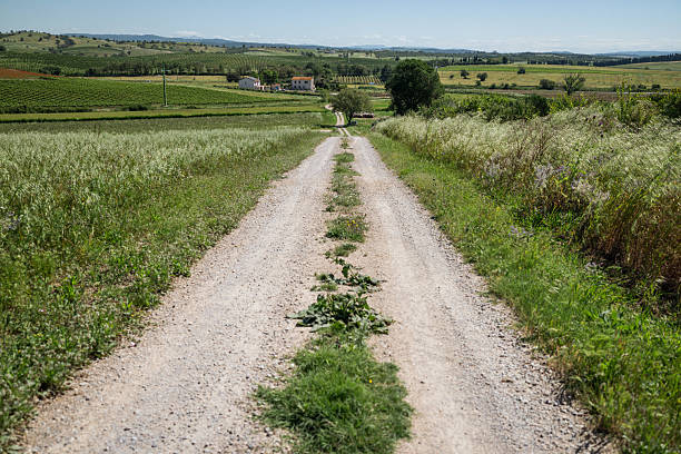 Rural landscape and white road in Tuscany