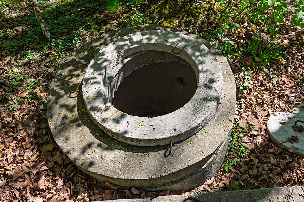 Old concrete well ring lies uncovered in the forest, surrounded by dry leaves and dappled sunlight, evoking rural utility and neglect.