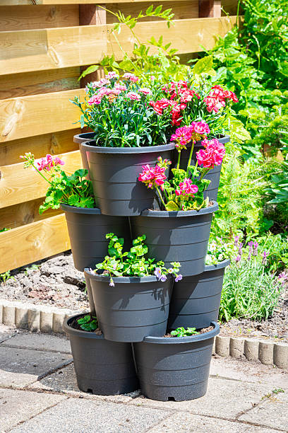 istock Flower tower in a garden 2218646509