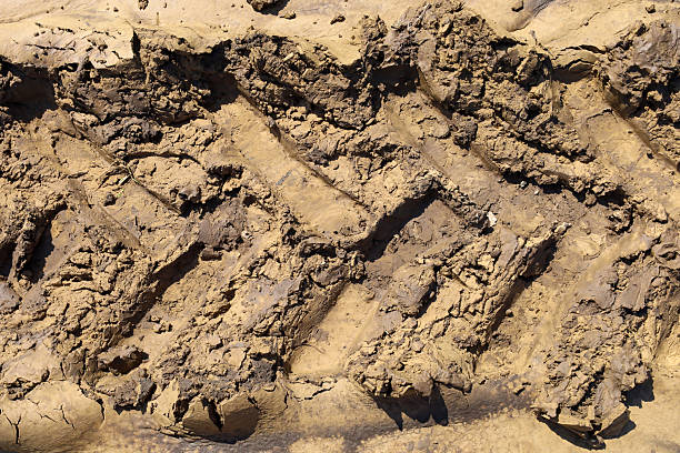 istock A clear tire track from heavy machinery on muddy soil creates a distinct texture and relief, reflecting agricultural activity or construction. This image highlights human impact on the land and work processes in rural areas. 2218647600