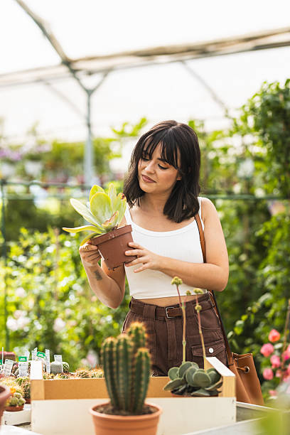 istock Smiling young female holding cactus in greenhouse 2218647613