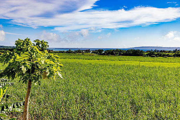Scenery of Miyakojima, Okinawa Prefecture