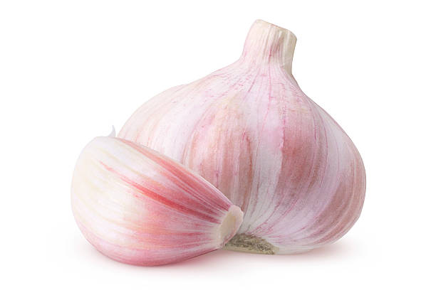 istock Garlic on isolated white background. Whole and head of garlic, 2 objects. 2218649923