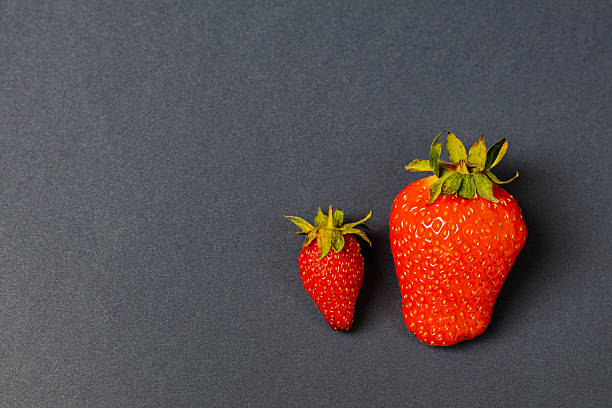 istock Conceptual image of two organically grown red strawberries on a graphite background, one smaller and one larger, symbolizing a father and son relationship. Representing themes of family, parenting, growth, care, and generational connection. 2218649941