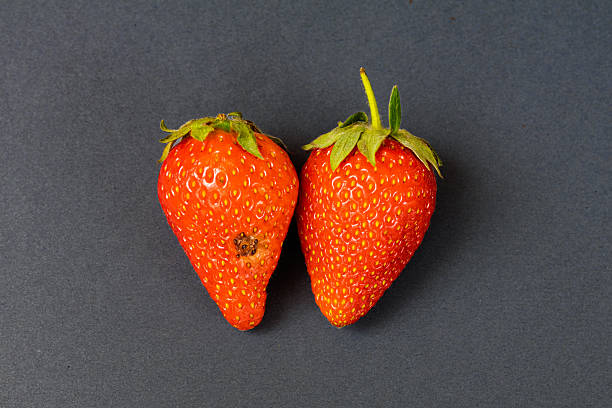 two nearly identical organic strawberries placed side by side on a graphite background. While both fruits are similar in size and shape, one has a small visible rotten spot, representing themes of imperfection, decay, contrast, and hidden flaws.