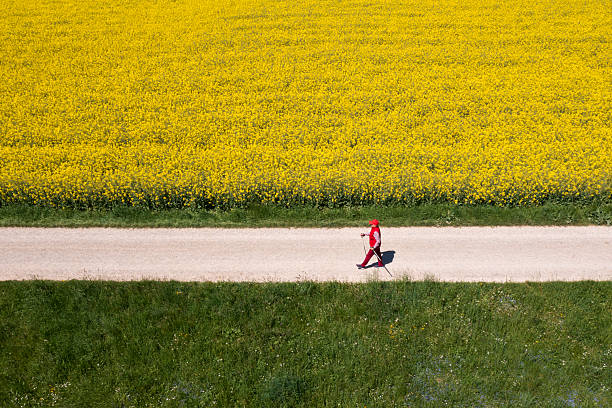 Aerial view of a woman dressed in red walking with hiking poles, on the road among yellow and green fields in a beautiful spring landscape.