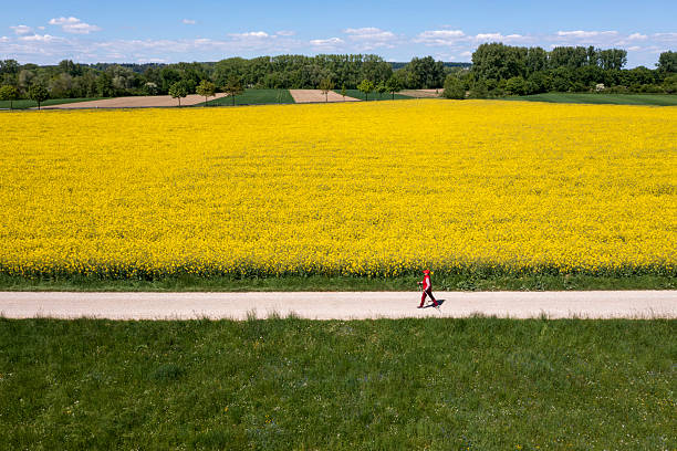 Aerial view of a woman dressed in red, walking with hiking poles on the road among yellow and green fields in a beautiful spring landscape, under clear blue sky.