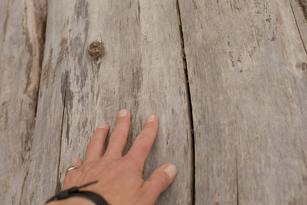 A hand gently resting upon a textured, weathered wooden surface that displays prominently visible grains and intricate details, showcasing the beauty of natural wear and aging over time