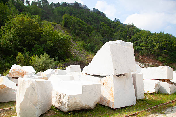 Italy Carrara mable slabs for sale
