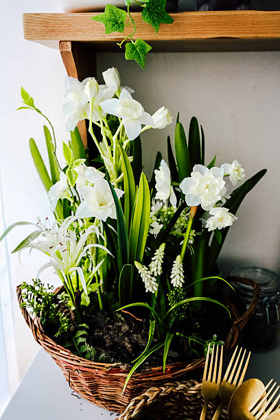 istock Vibrant white flowers in a rustic basket on a wooden shelf in a bright kitchen setting 2218659744
