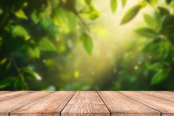 istock Empty rustic table in front of countryside background. product display and picnic concept 2218660699
