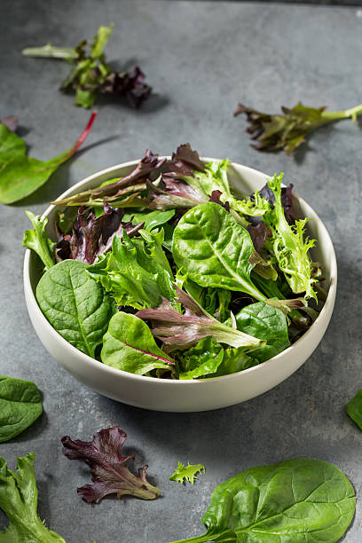 istock Organic Raw Green Spring Lettuce Mix 2218662360