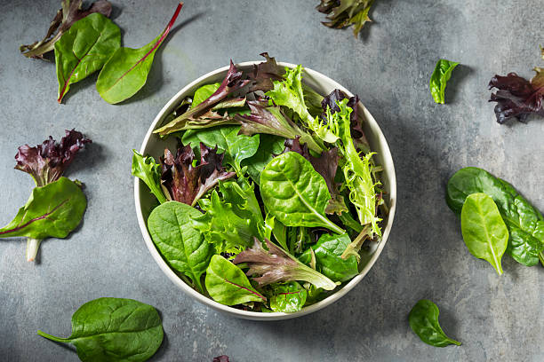 istock Organic Raw Green Spring Lettuce Mix 2218662380