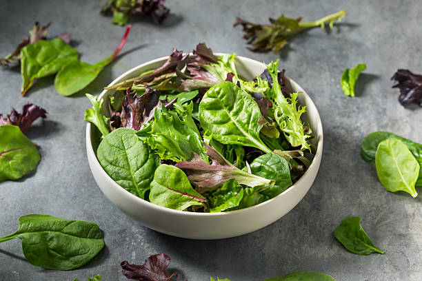 istock Organic Raw Green Spring Lettuce Mix 2218662396