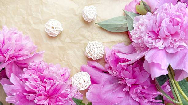 istock Pink Peonies with Small Rattan Balls on Light Textured Background 2218662945
