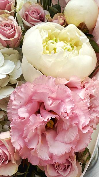 istock White Peonies, Hydrangeas, and Pink Lisianthus – Elegant Floral Close-up 2218665287