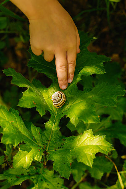 istock Tiny Discoveries: A Gentle Touch of Nature 2218665313