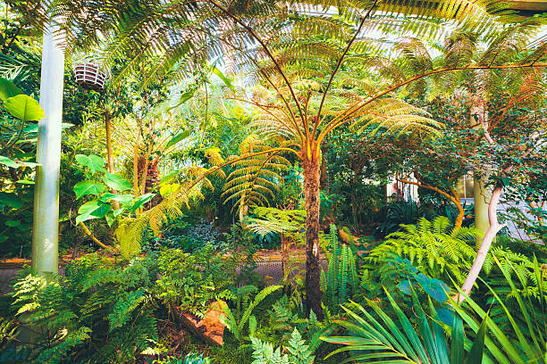 istock Amazing botanical garden 2218668469