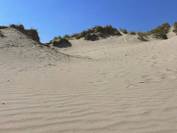 istock Rippling Sand Dunes with Grasses at De Slufter, Texel under Blue Sky, the Netherlands 2218669333