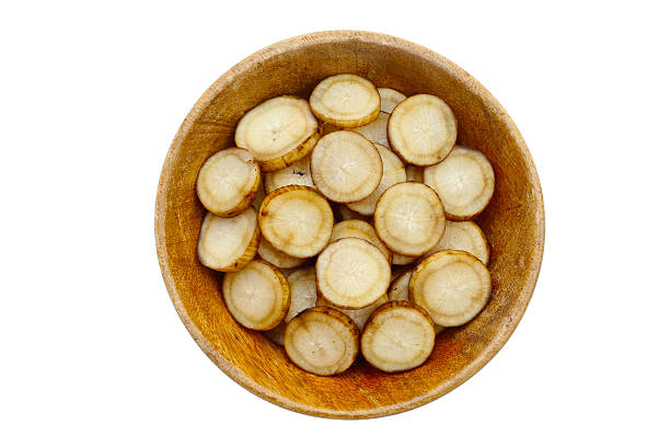 istock Fresh burdock roots or gobo roots 2218675906