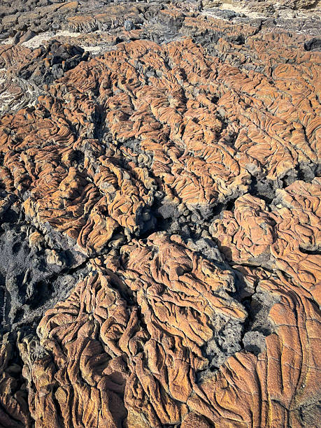 CLOSE UP Rippled textures of cooled lava with intricate patterns in shades of brown and grey. Dried volcanic rock forms an abstract relief shape that hints at powerful geological forces that shaped it