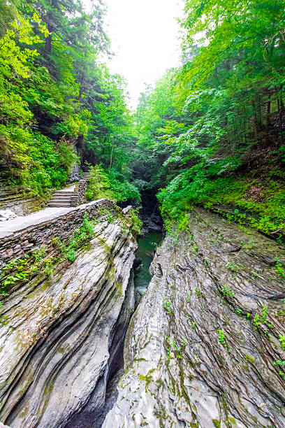 istock Watkins Glen State Park, New York 2218682959
