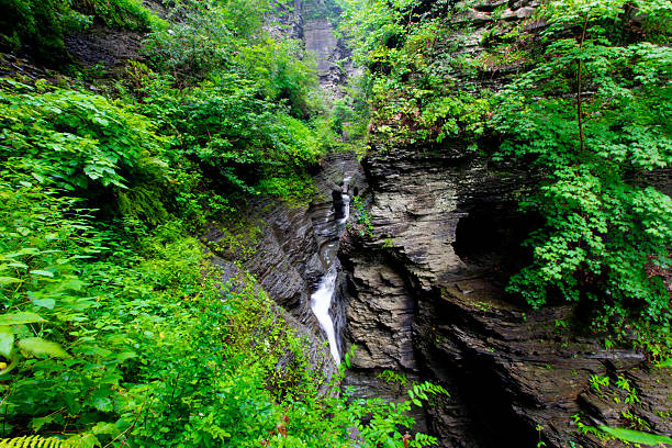 Views at Watkins Glen State Park, New York